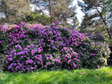 23-06-03 16-37-50 5787